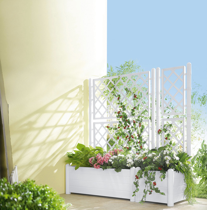 Blumentöpfe und Pflanzgefässe - Pflanzkasten mit Spalierwand, in Farbe WEISS, in Ausführung Pflanzkasten klein Ansicht 1