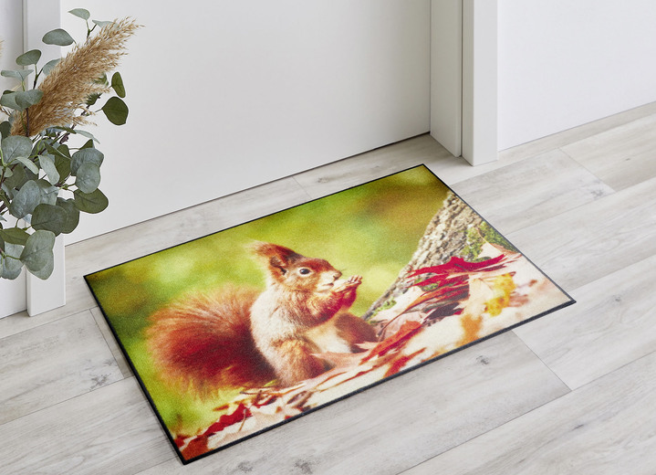 Fussmatten - Fussmatte  mit Eichhörnchen-Motiv, in Farbe BUNT