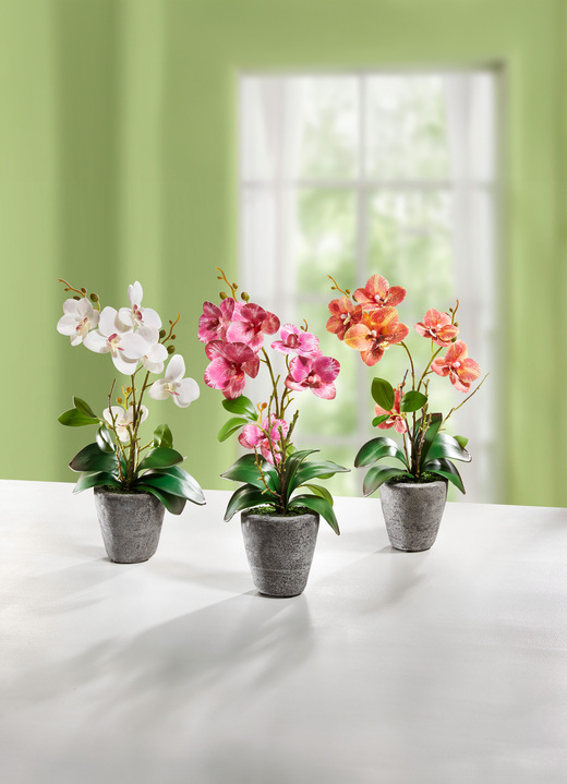 Kunst- & Textilpflanzen - Orchidee im Zementtopf /creme, in Farbe CREME